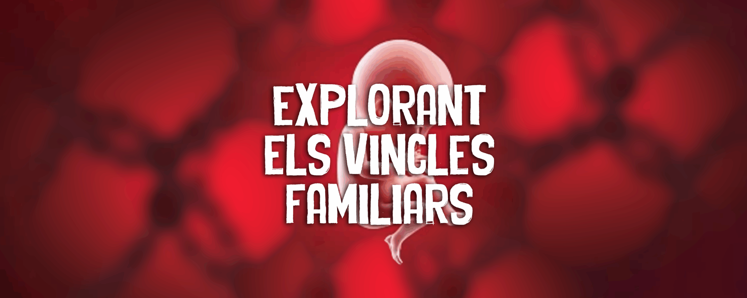 Explorant els vincles familiars